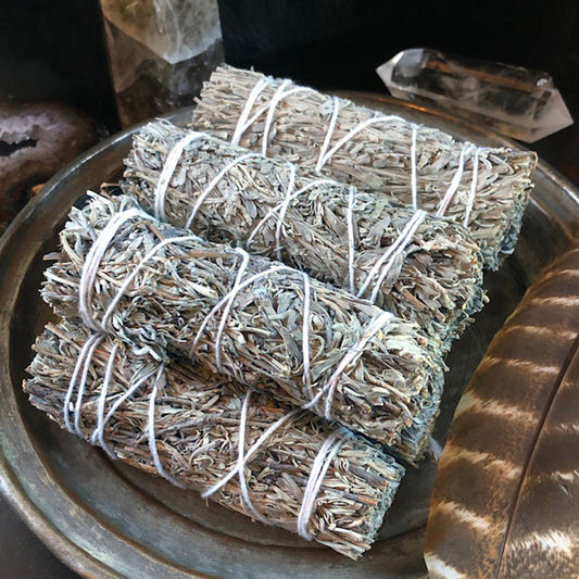 Blue Sage - 4" Sustainably Harvested